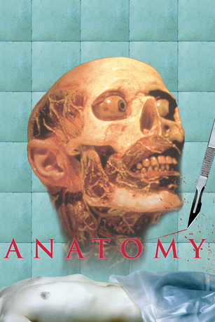 ANATOMY