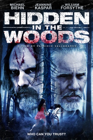 HIDDEN IN THE WOODS